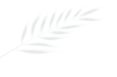 1fc098f0-f46e-4c7b-8499-12467147a293