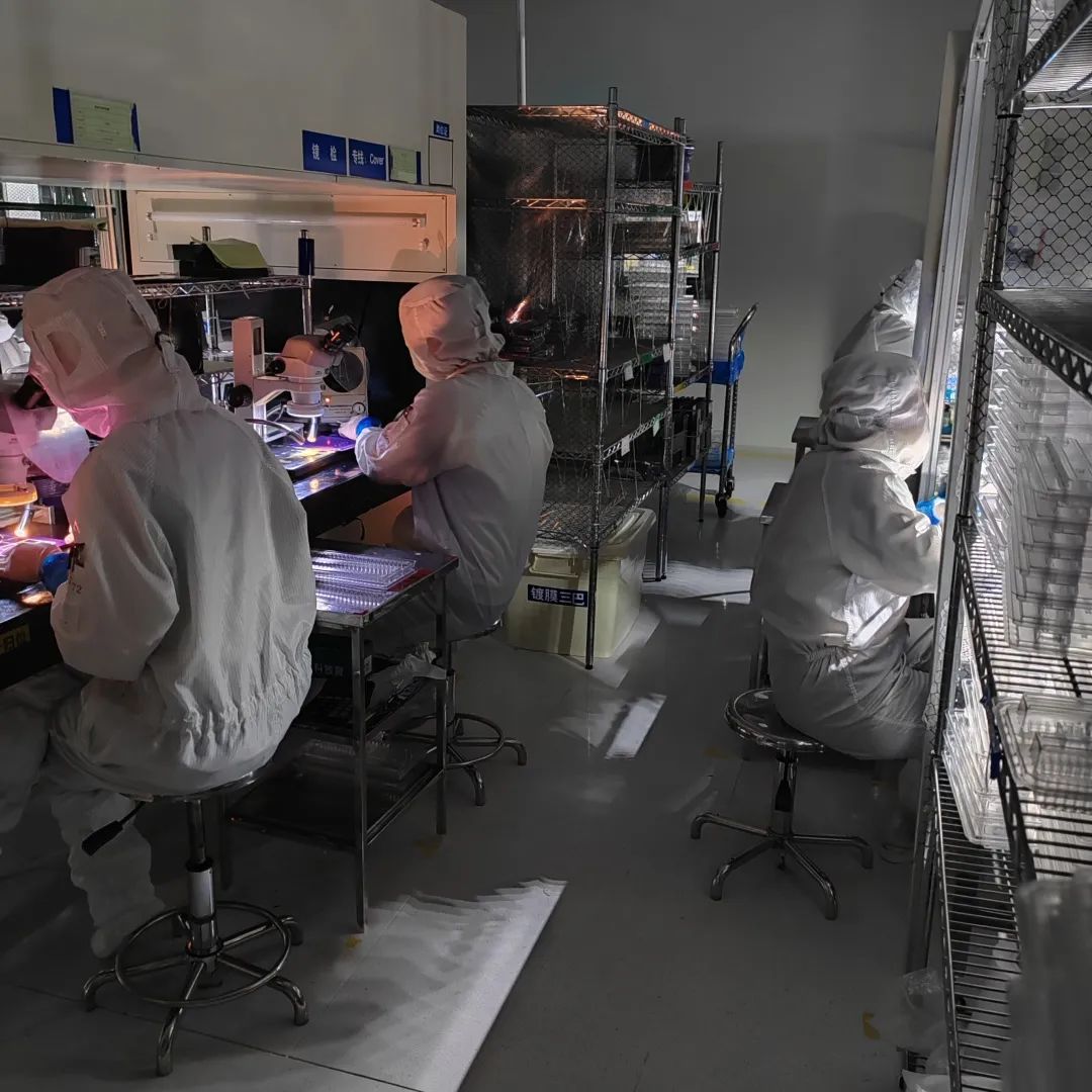 35f34853-92e5-4483-a053-cde8f675139f